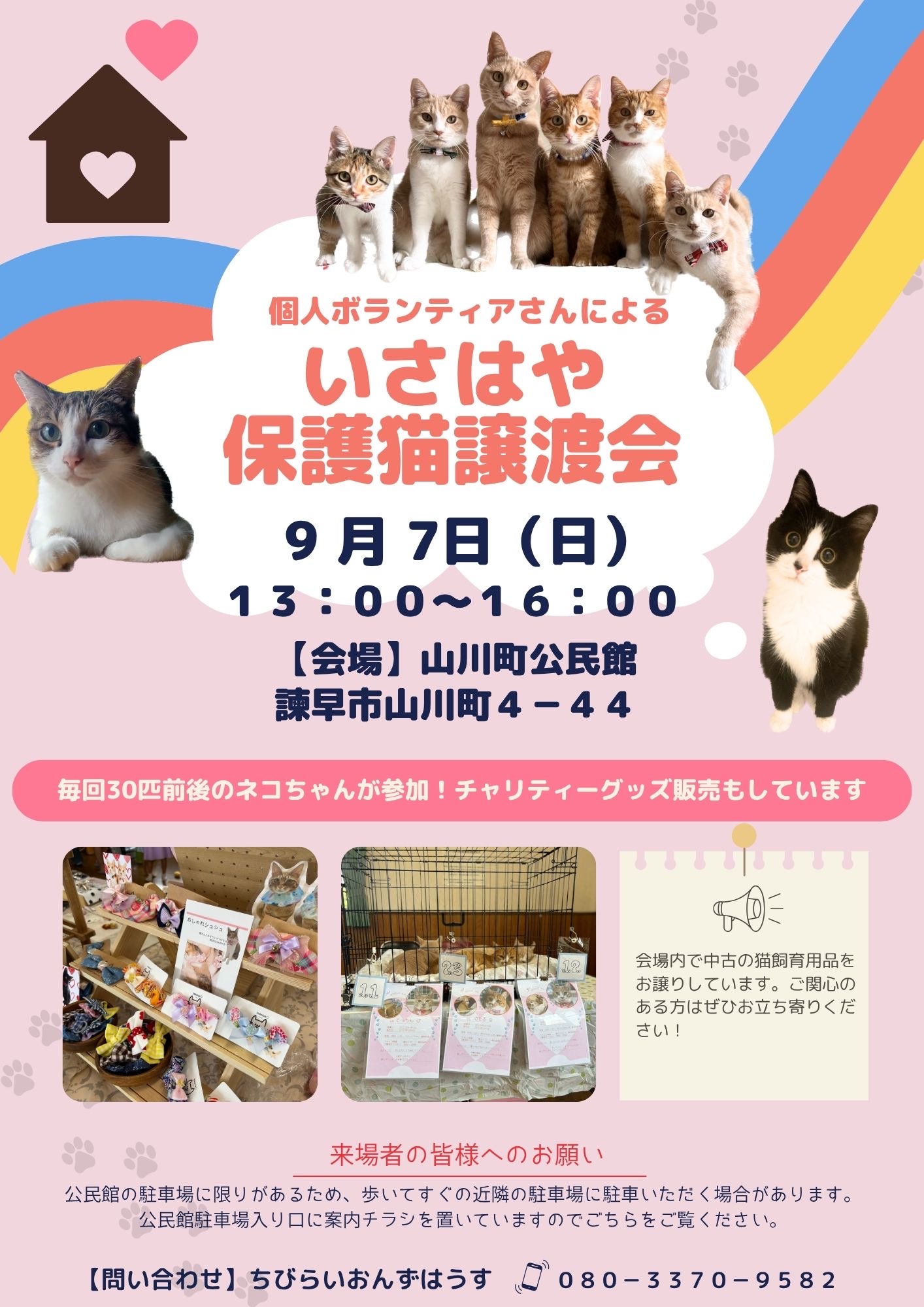 個人ボランティアさんによるいさはや保護猫譲渡会