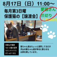 譲渡会＆爪切り