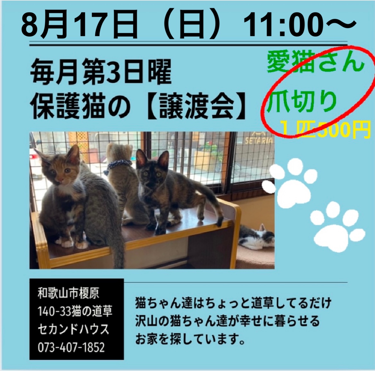 譲渡会＆爪切り