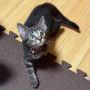 べったり甘えん坊の薫ちゃん