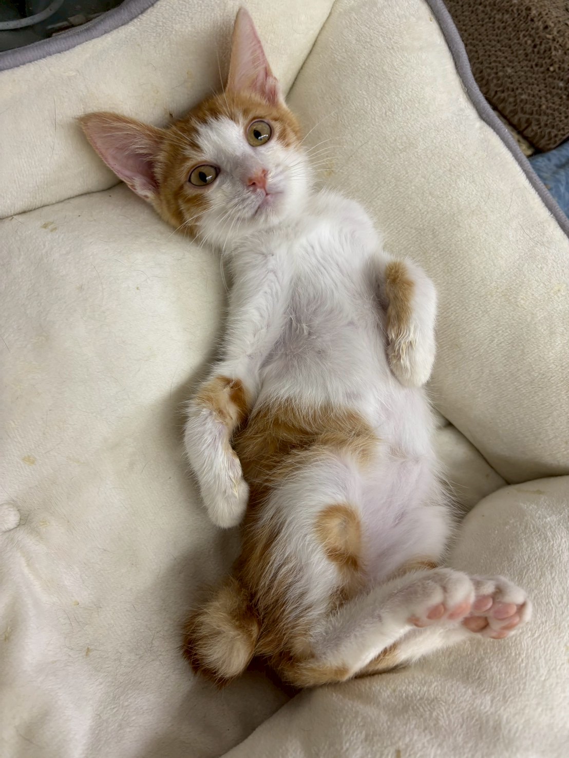 優しく控えめなタケくん