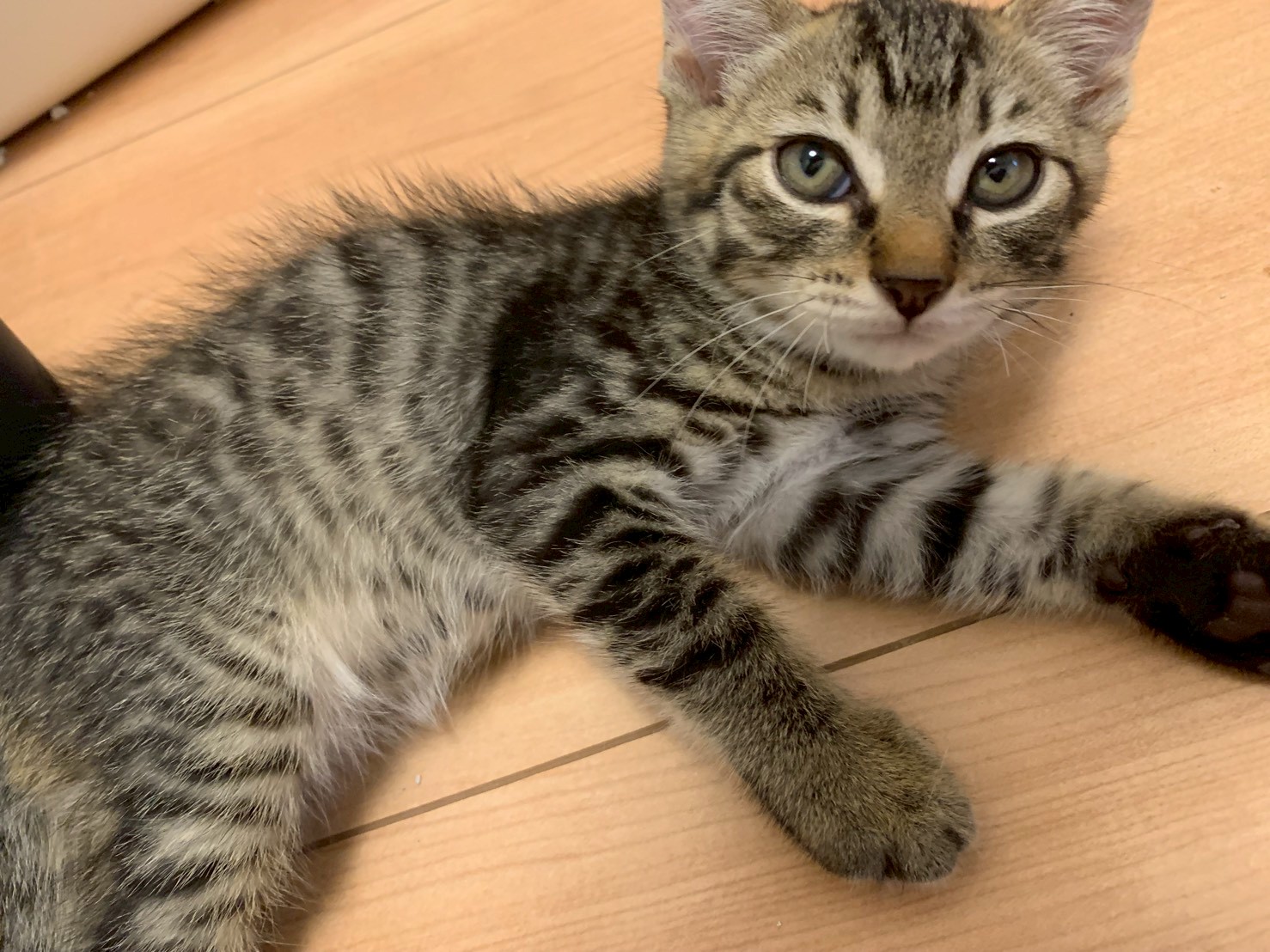 甘えん坊予備軍の太郎くん