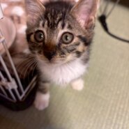 白靴下が可愛いかずまくん