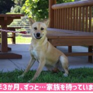 うるうる黒い瞳が美しすぎる💖ジェシーちゃん