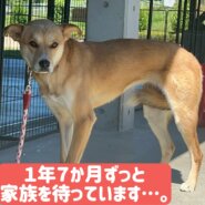 優しい瞳をした⛄雪花(せっか)ちゃん