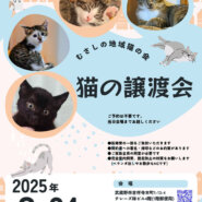 むさしの地域猫の会　譲渡会