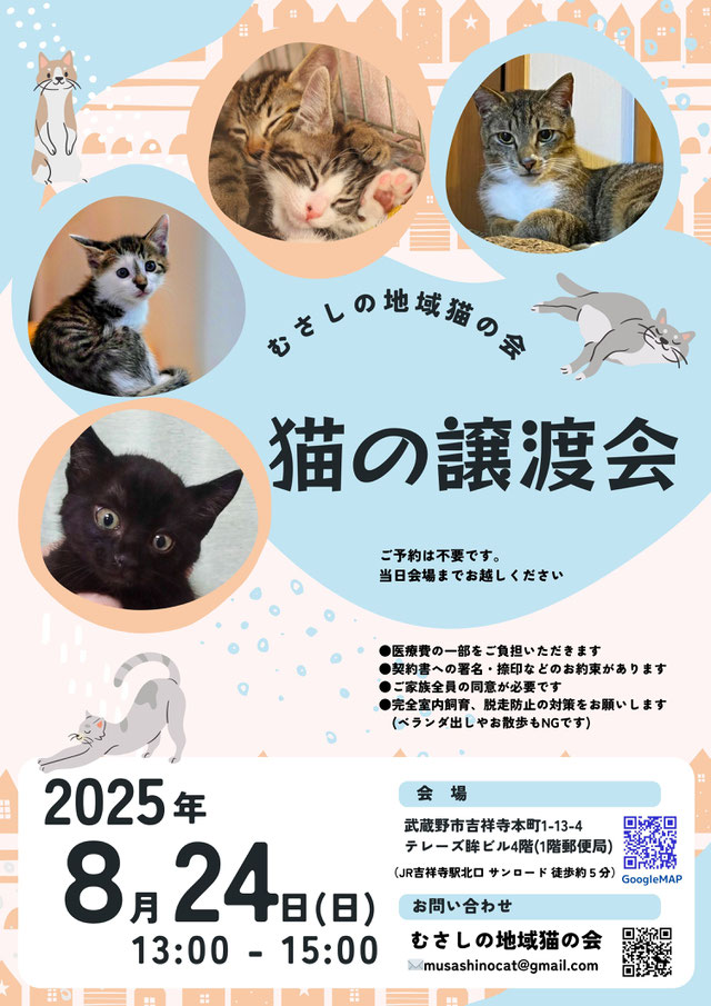 むさしの地域猫の会　譲渡会