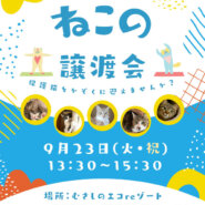むさしの地域猫の会　譲渡会