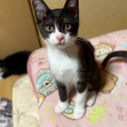 甘えん坊に大変身⭐︎ゆうひくん