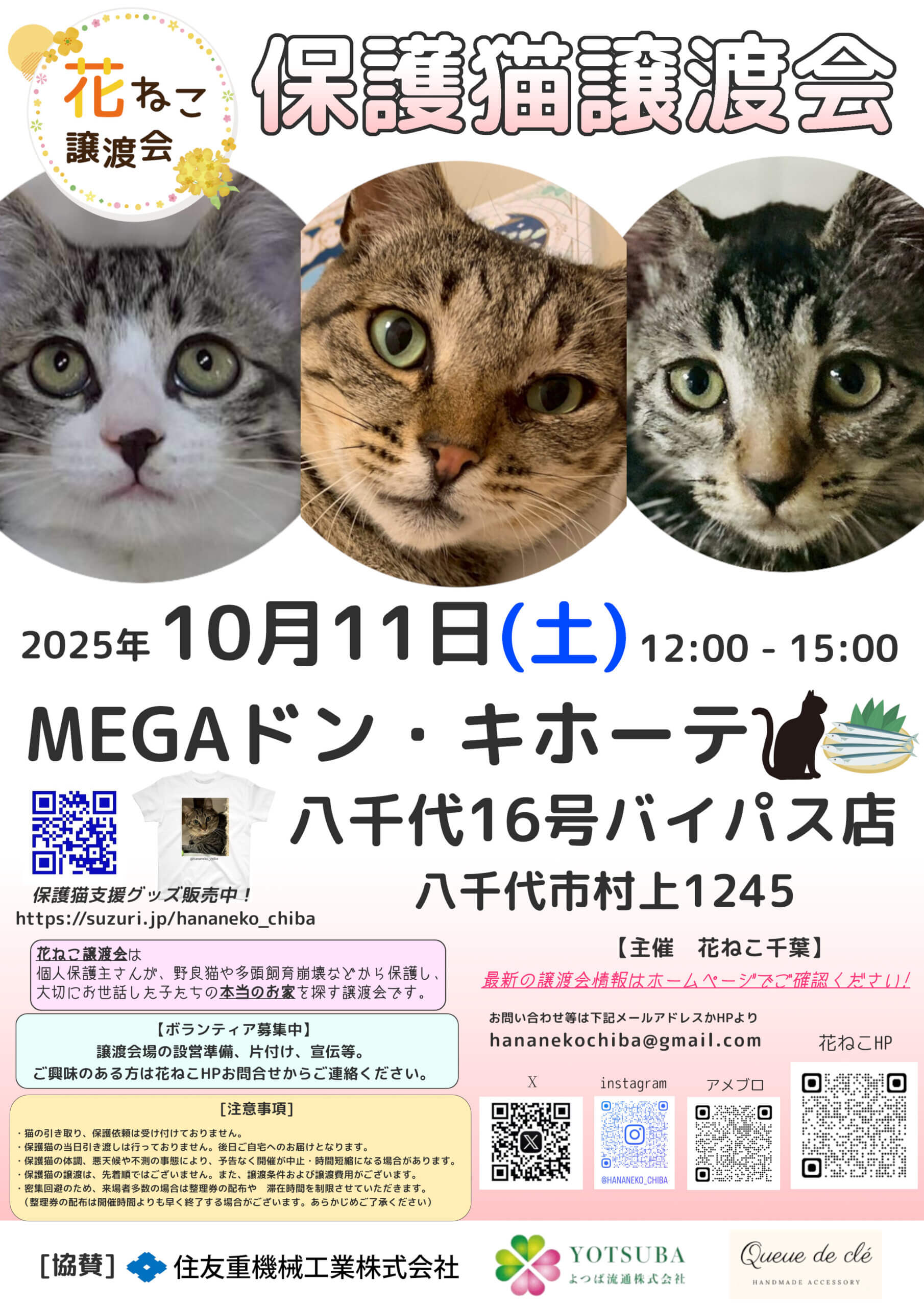 花ねこ譲渡会