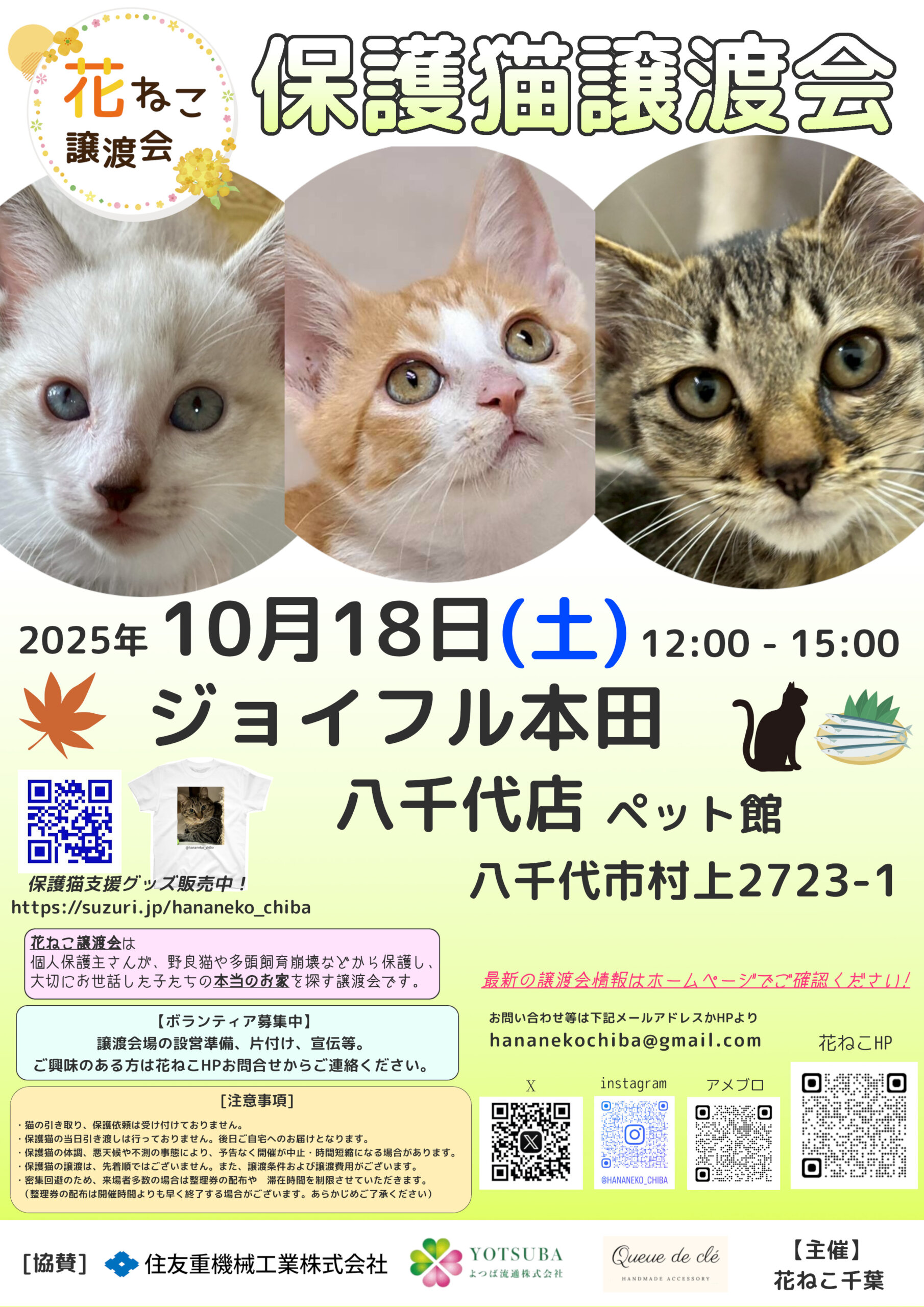 花ねこ譲渡会
