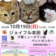花ねこ譲渡会
