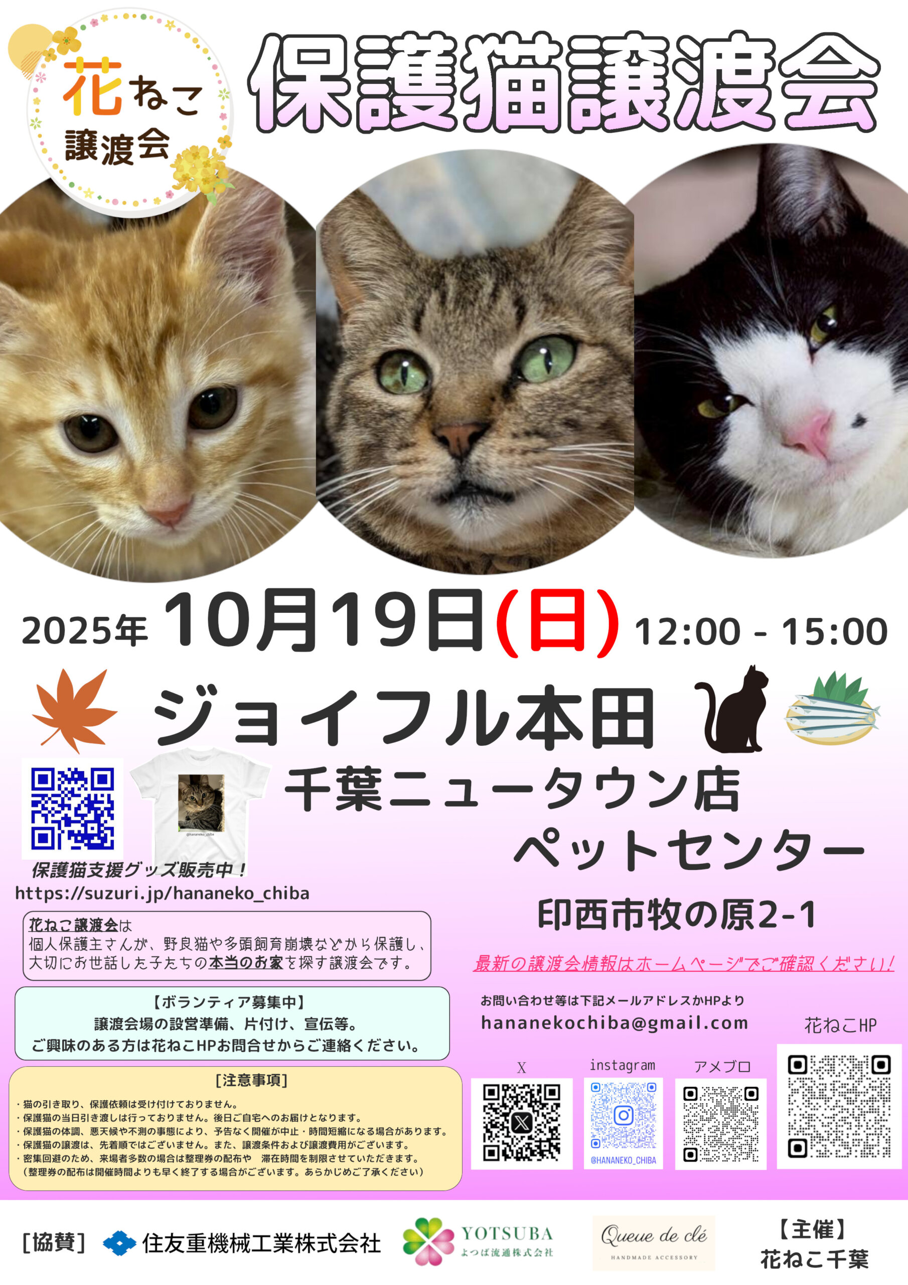 花ねこ譲渡会
