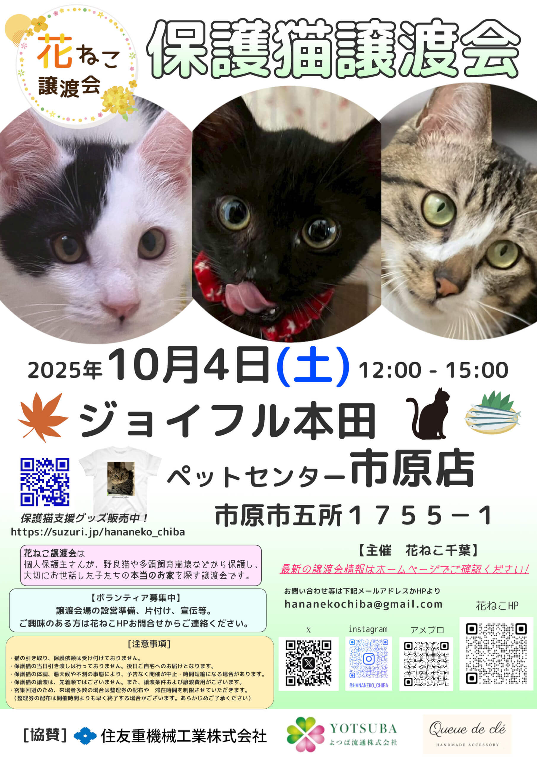 花ねこ譲渡会