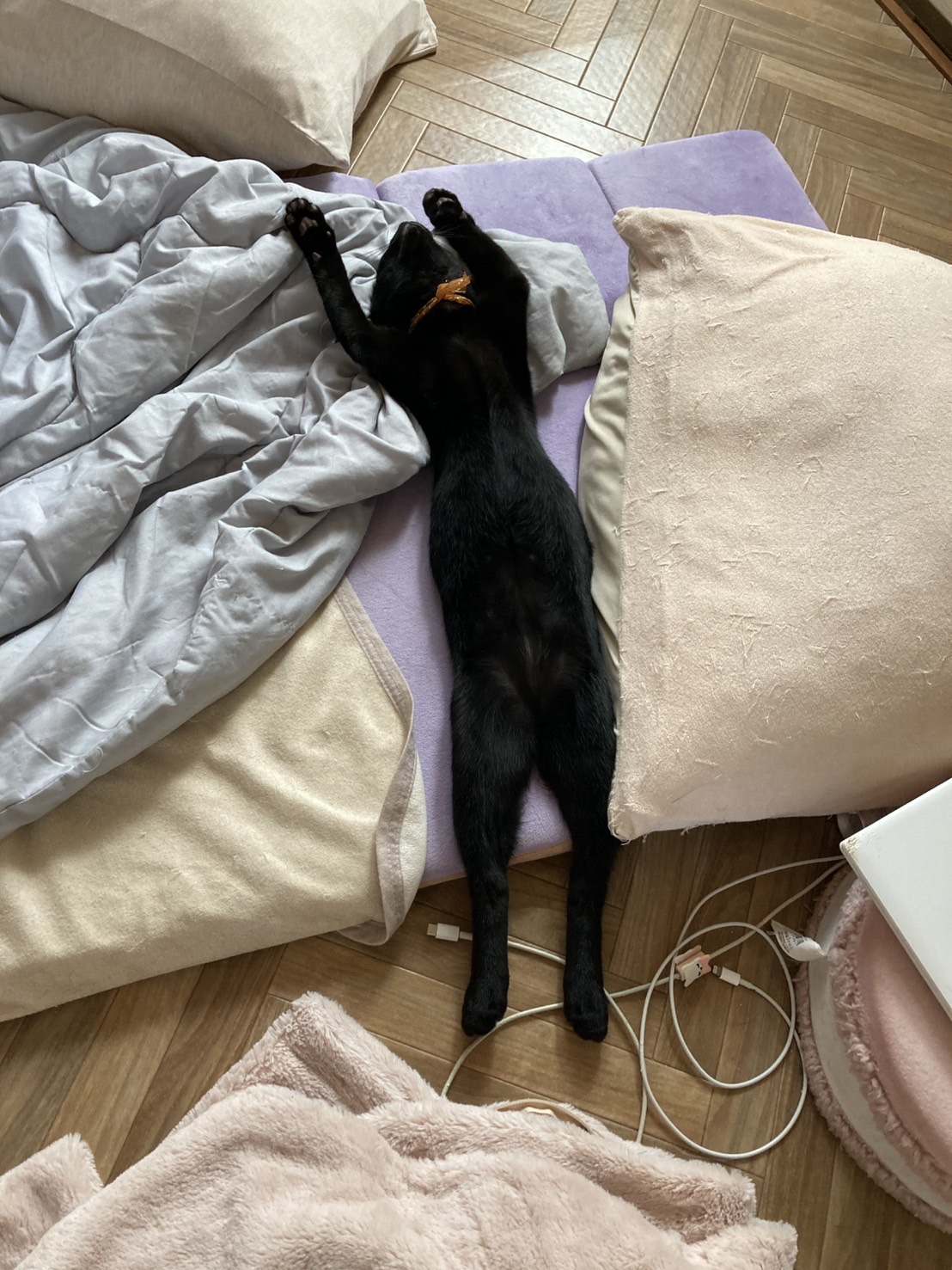 トライアルのお申し込みがありました✨