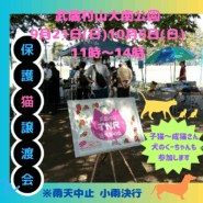 保護猫譲渡会in大南公園