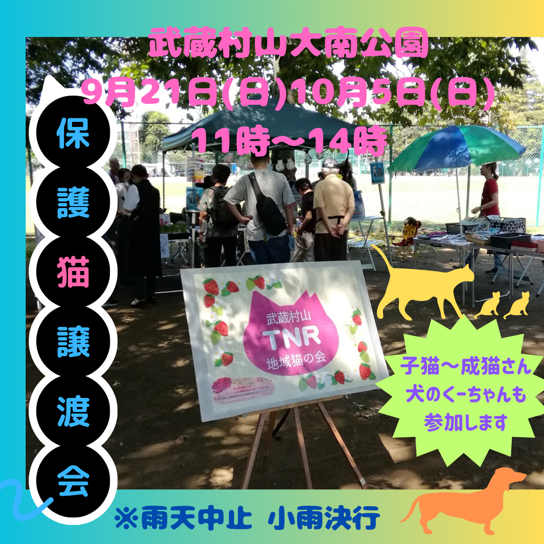 保護猫譲渡会in大南公園