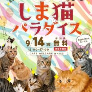 ふれあえる譲渡会 in大阪市