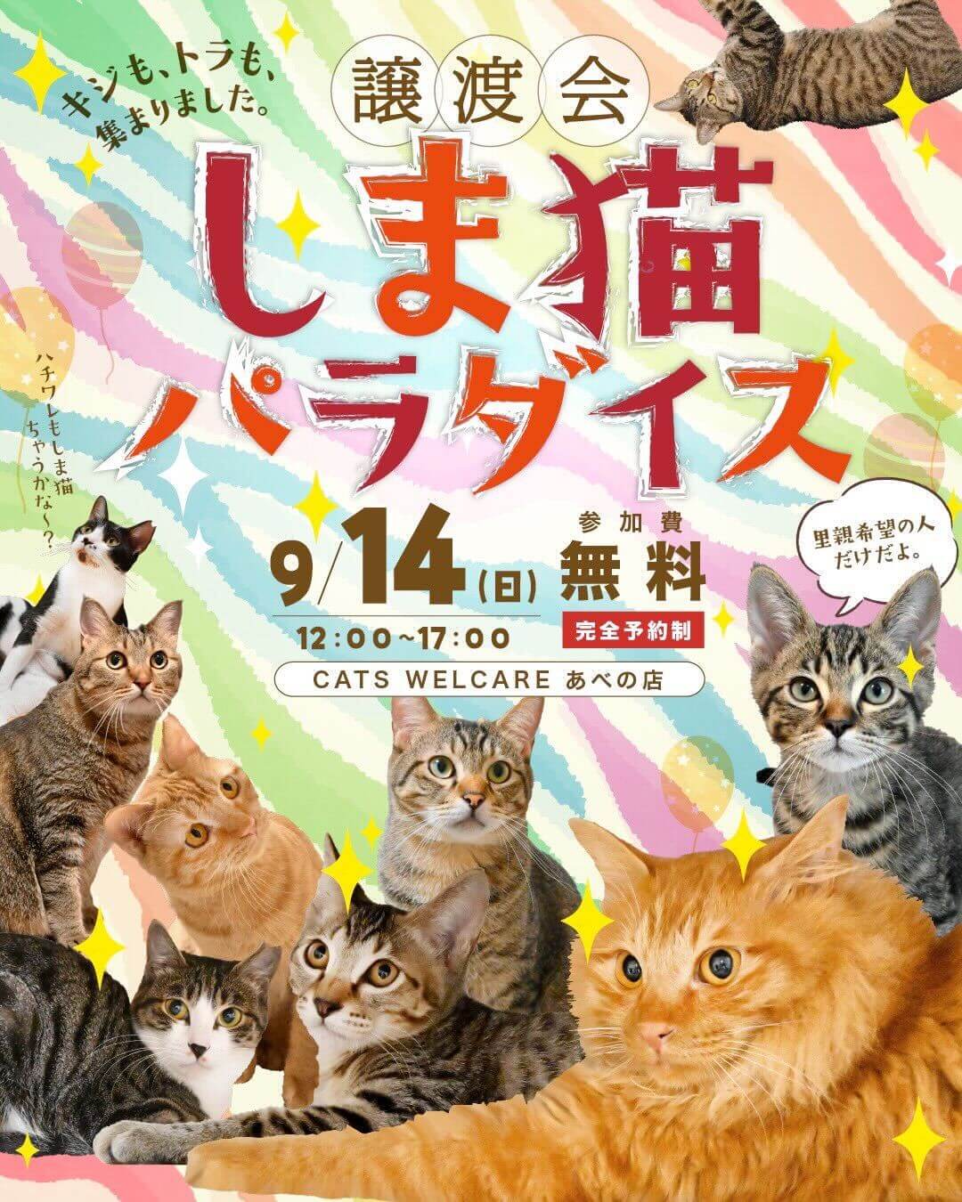 ふれあえる譲渡会 in大阪市