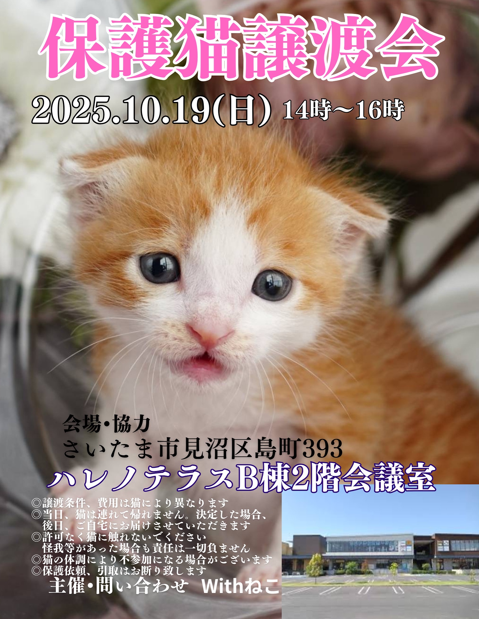 【さいたま市見沼区】10/19（日)ハレノテラス保護猫譲渡会