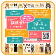 子猫さんと崩壊現場から保護した子たちの譲渡会