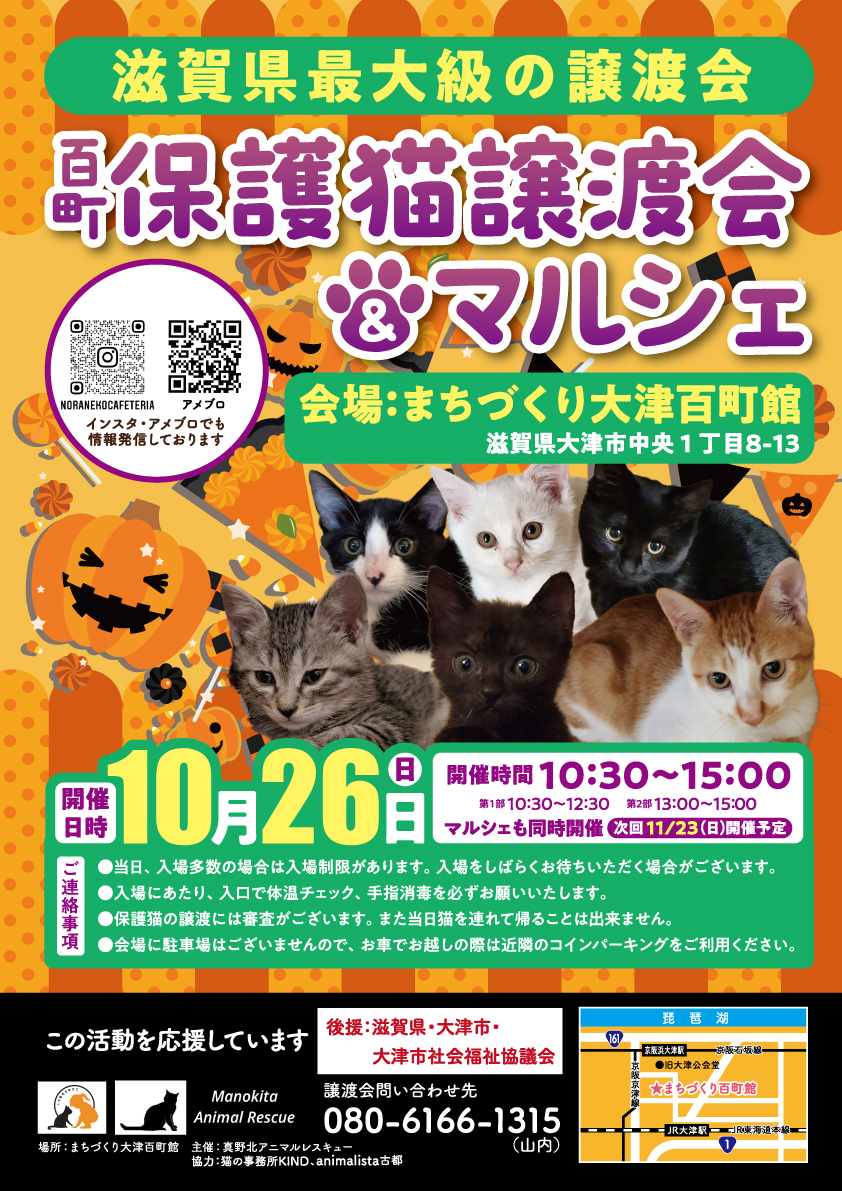 百町保護猫譲渡会＆マルシェ
