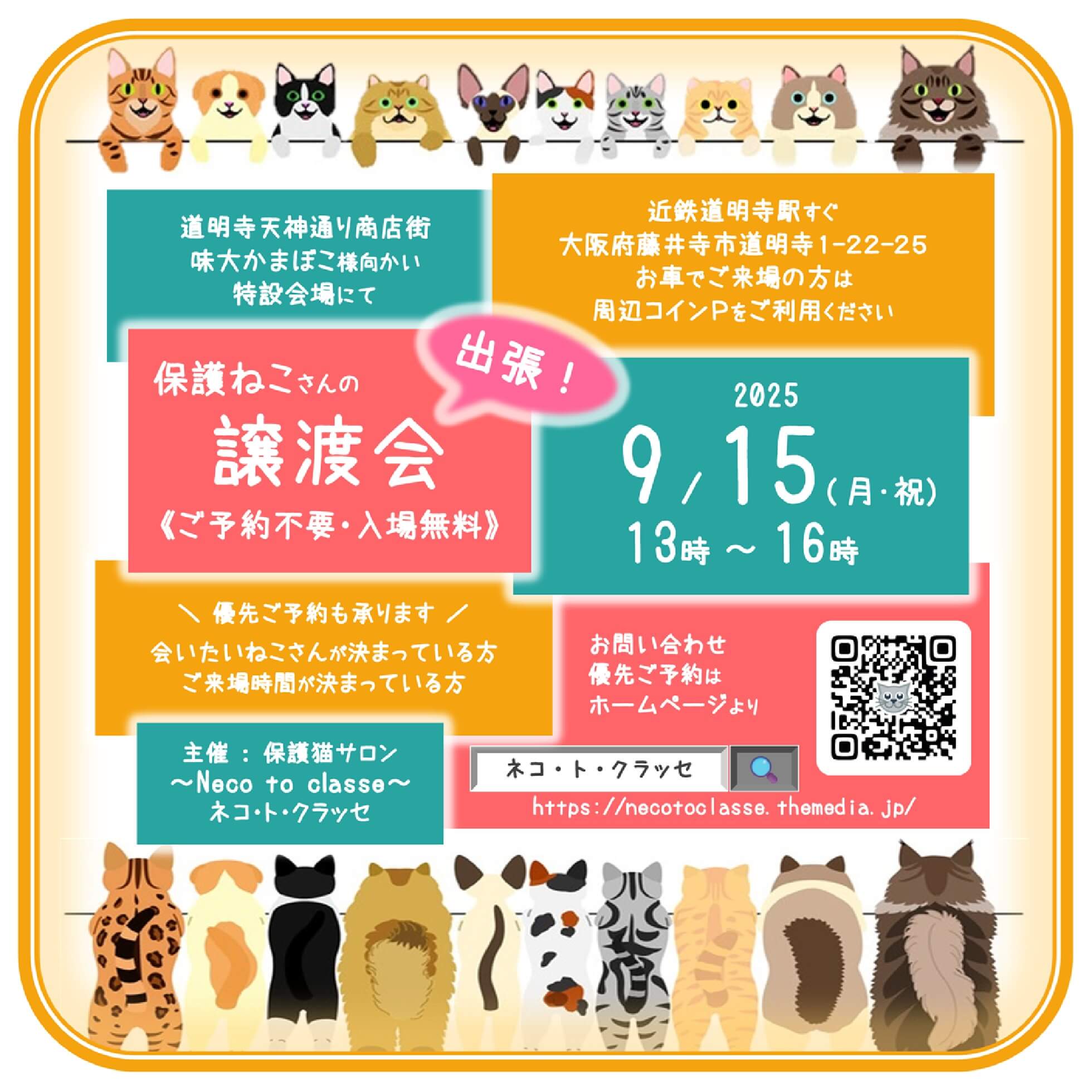 ♪出張♪ ネコトクラッセ譲渡会
