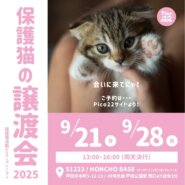 保護猫の譲渡会