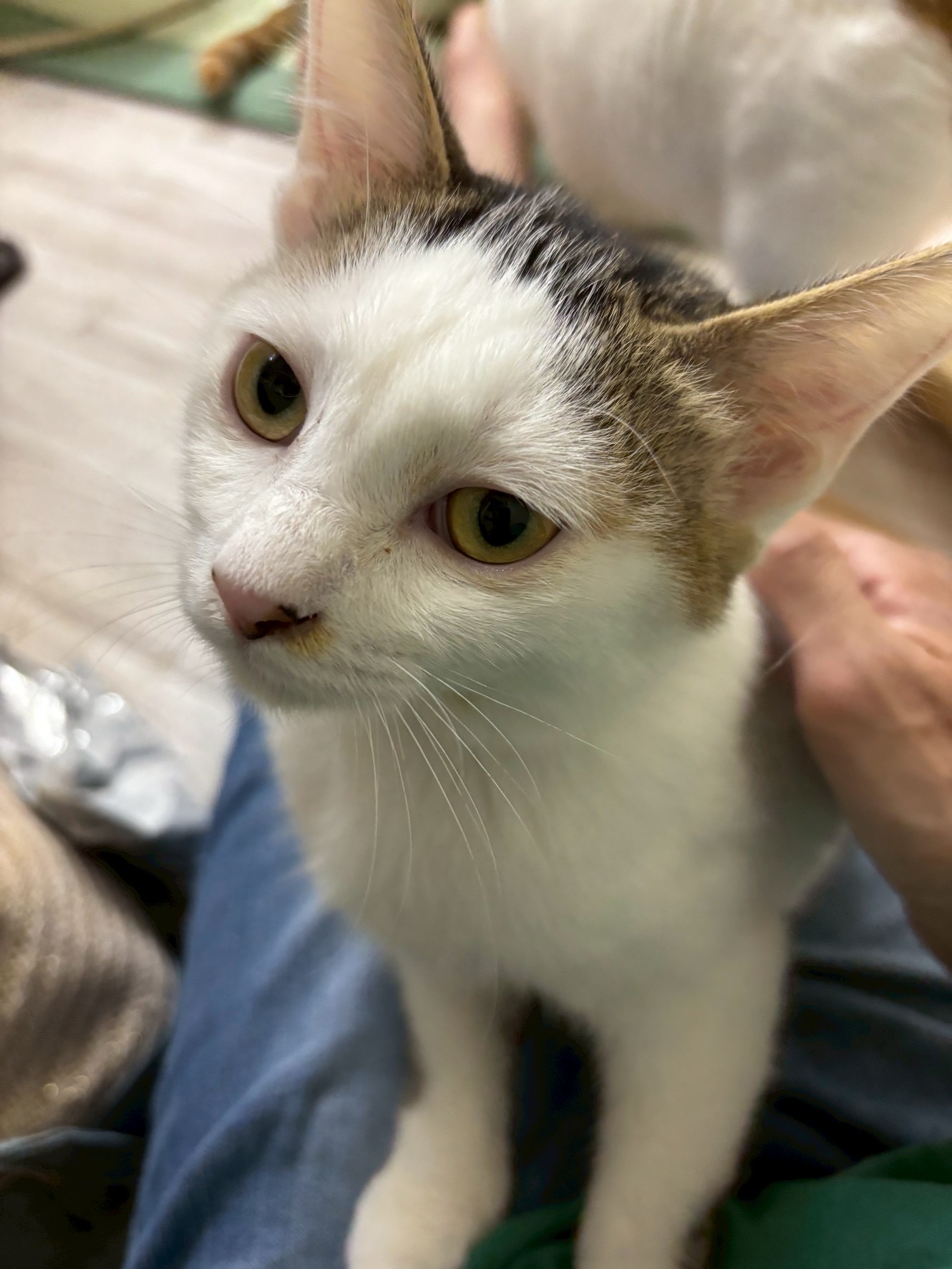 一緒に添い寝したいノアちゃん