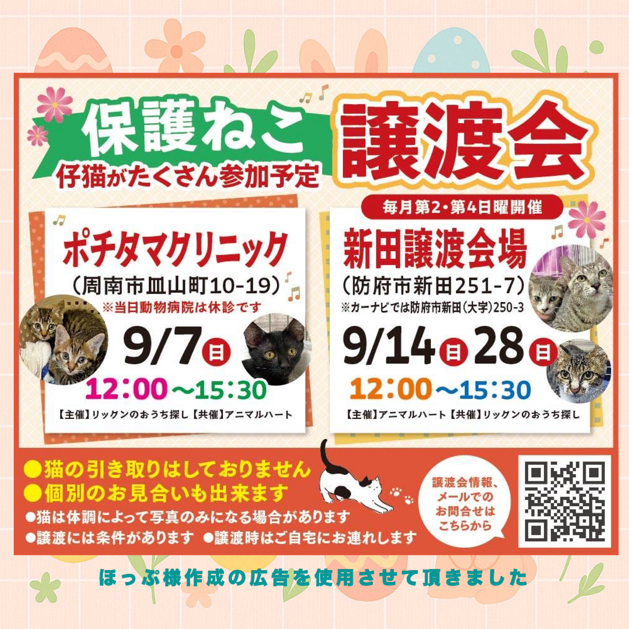 保護ねこ譲渡会in防府市