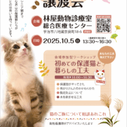 保護猫譲渡会　in 林屋動物診療室総合医療センター