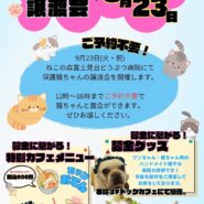 ねこの森保護猫譲渡会