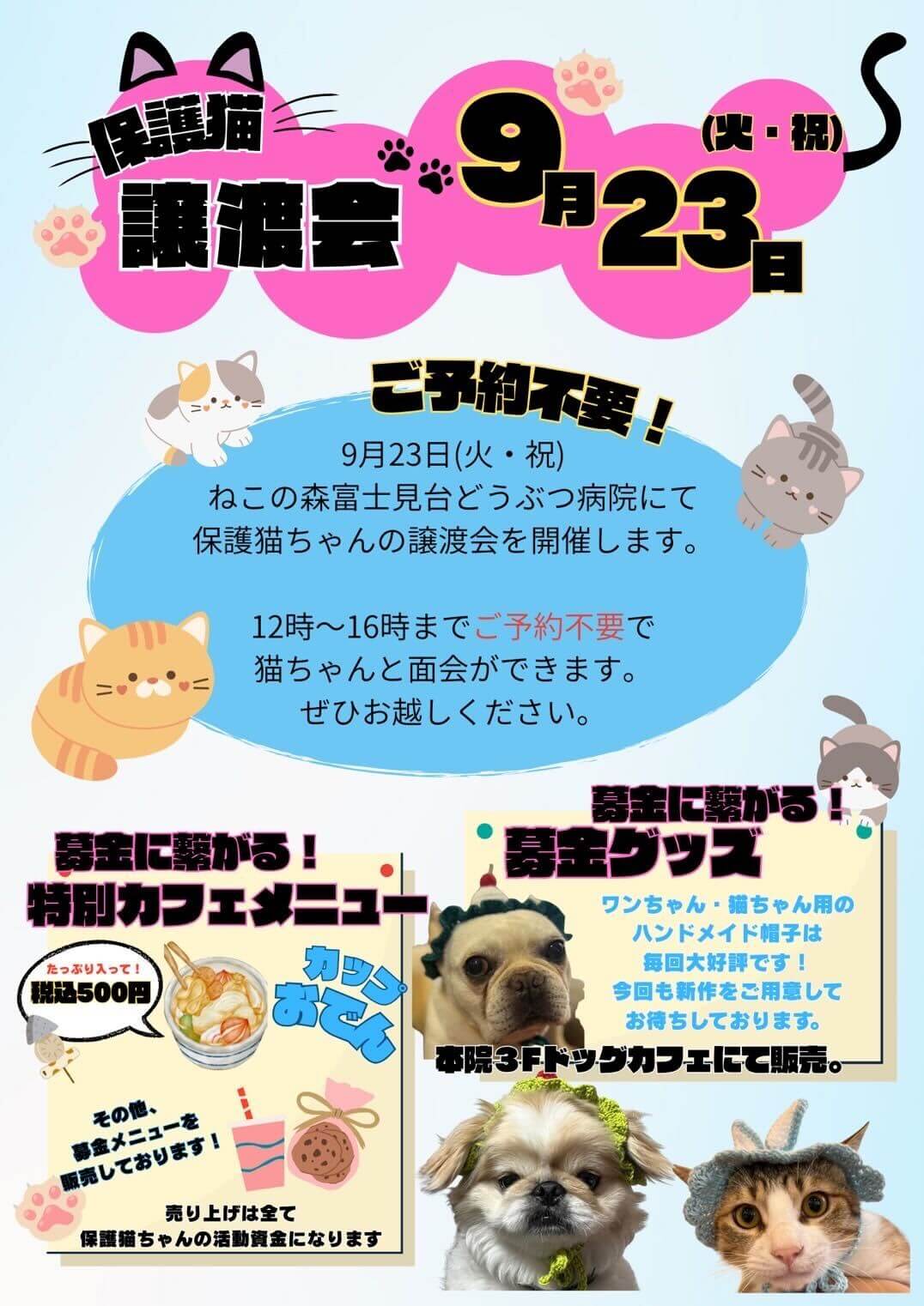 ねこの森保護猫譲渡会