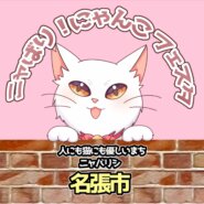 ニャばり❣にゃんこフェスタ