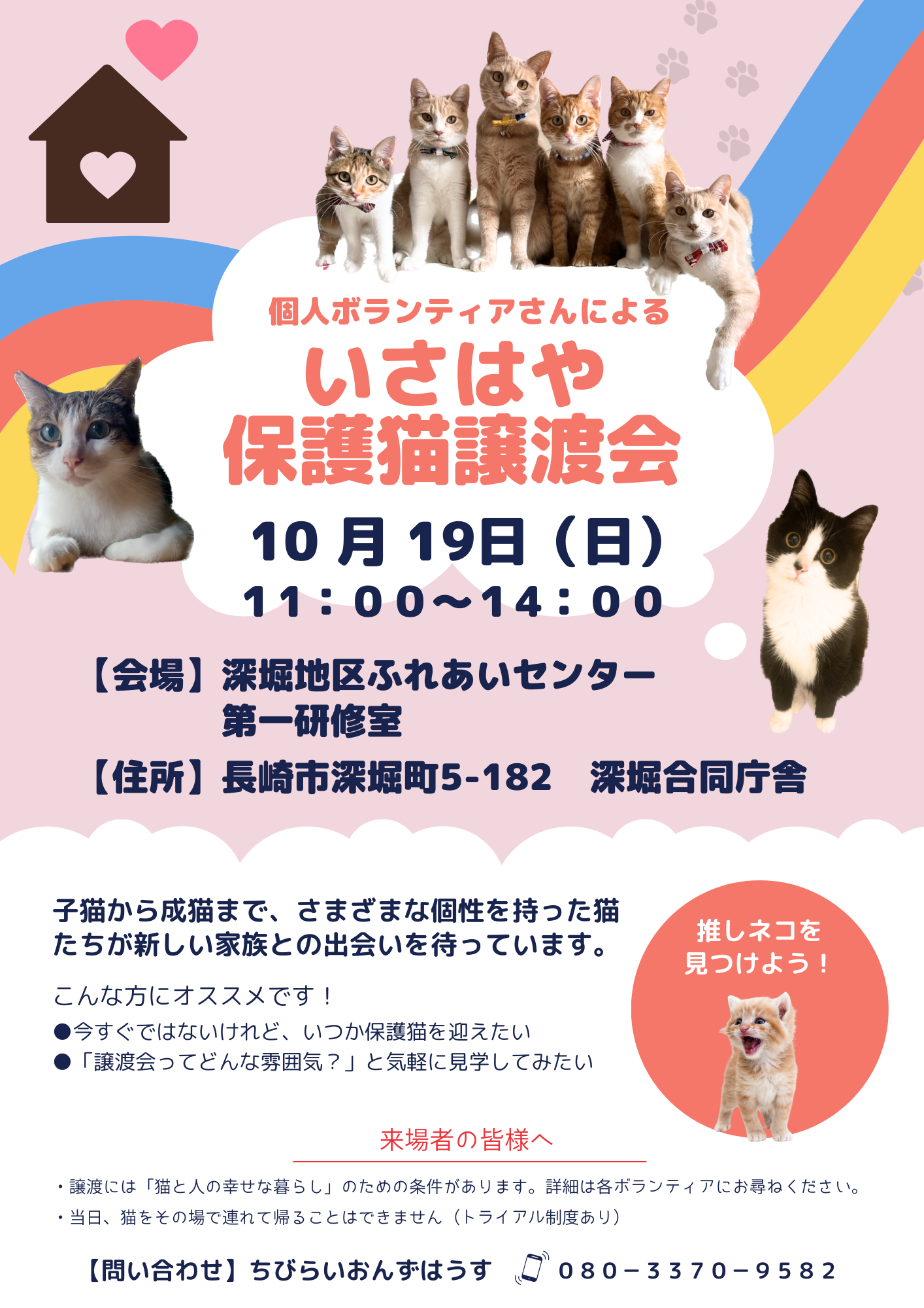 個人ボランティアさんによるいさはや保護猫譲渡会in深堀