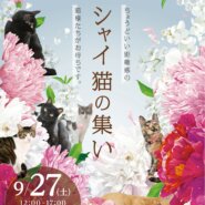 ふれあえる譲渡会 in大阪市