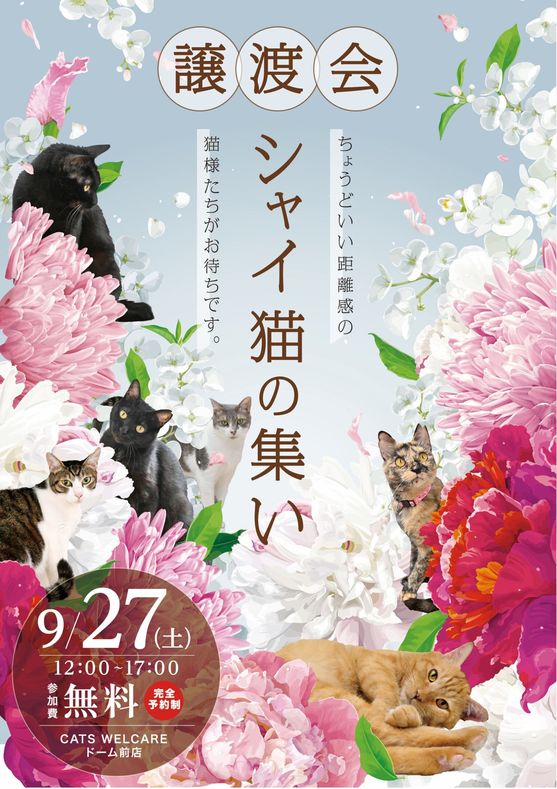 ふれあえる譲渡会 in大阪市