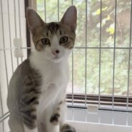 急募★愛されキャラ甘ったれコウちゃん❤️