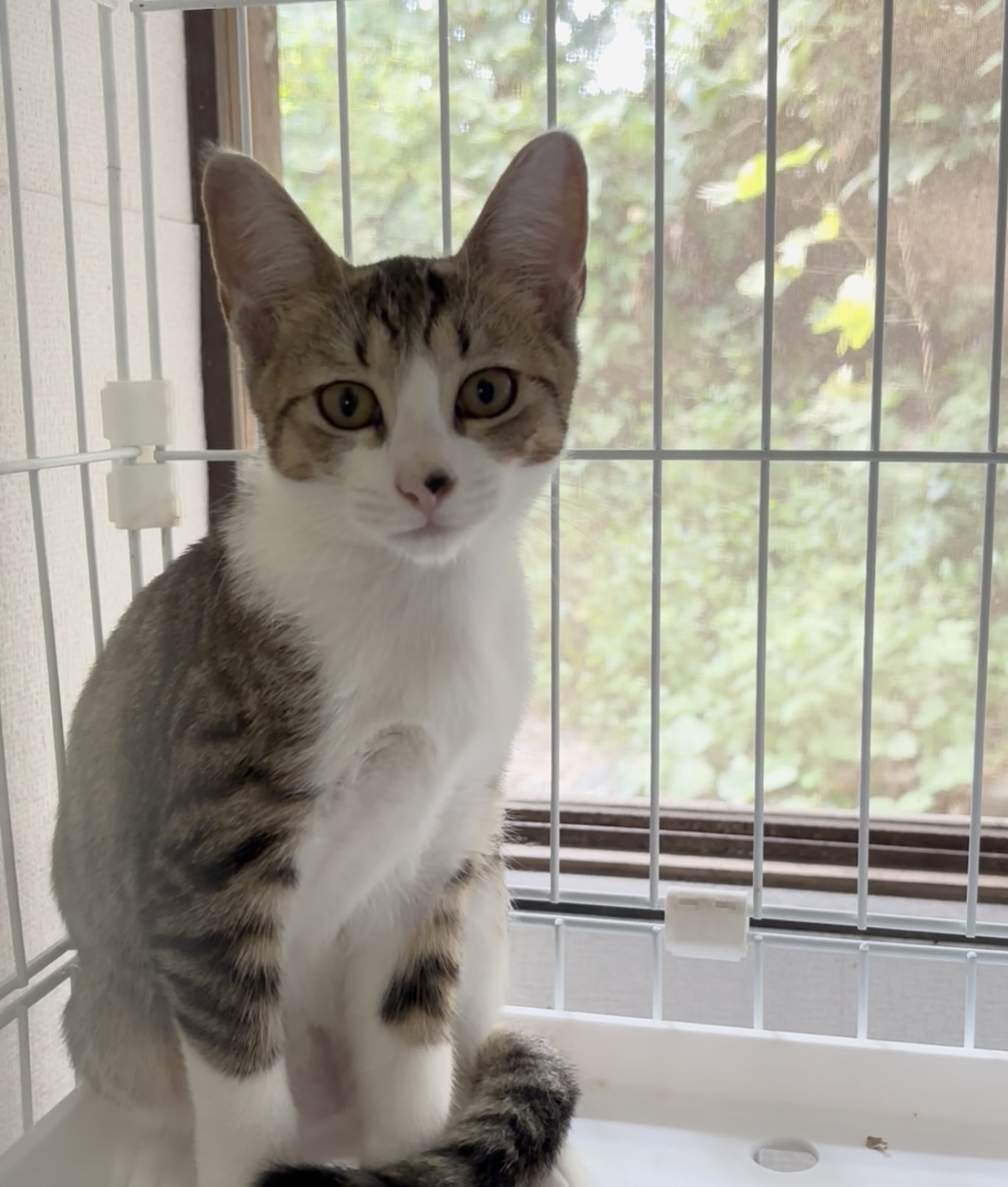 急募★愛されキャラ甘ったれコウちゃん❤️