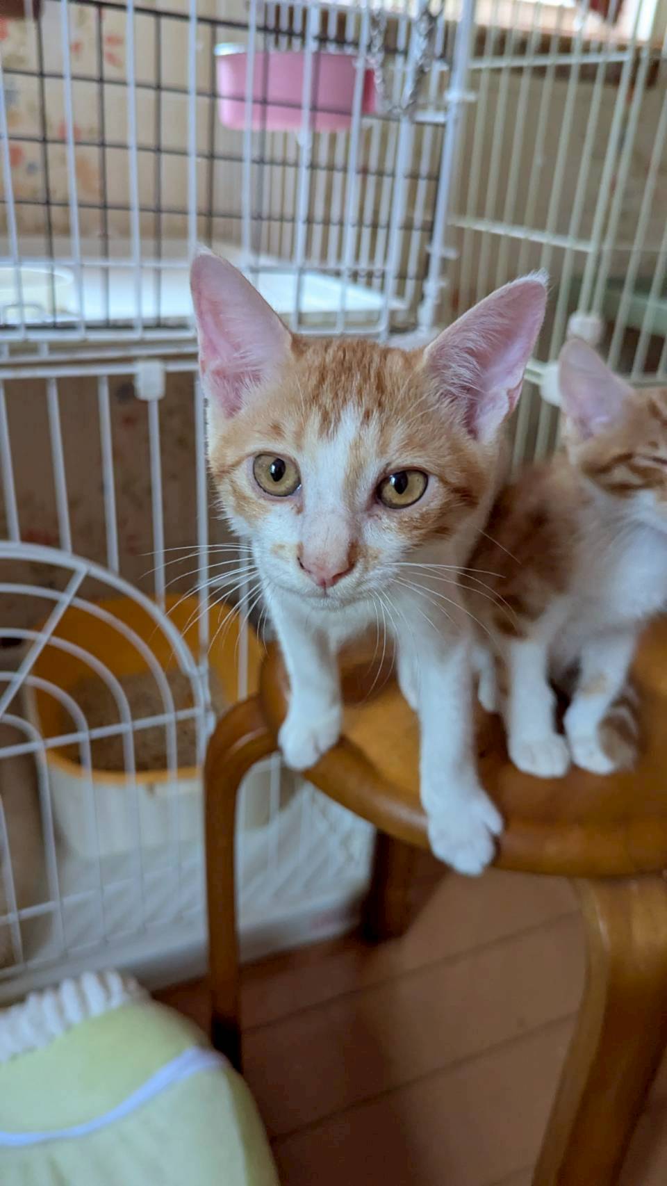 元気いっぱい☆サザンくん