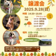 岐阜県関市の保護犬譲渡会🐾