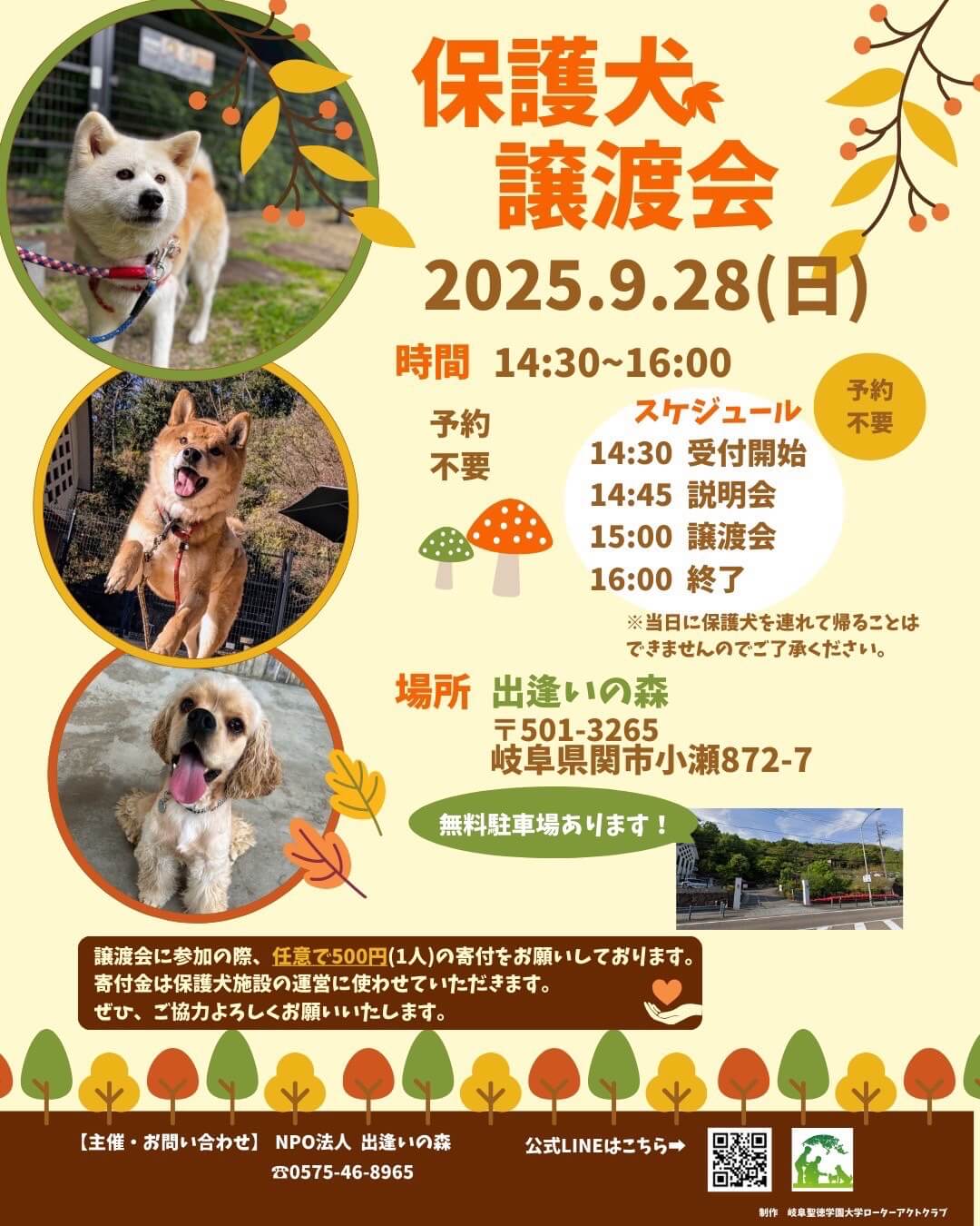 岐阜県関市の保護犬譲渡会🐾
