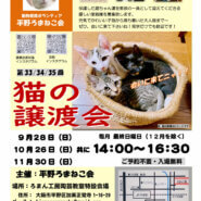 第33回平野ろまねこ譲渡会
