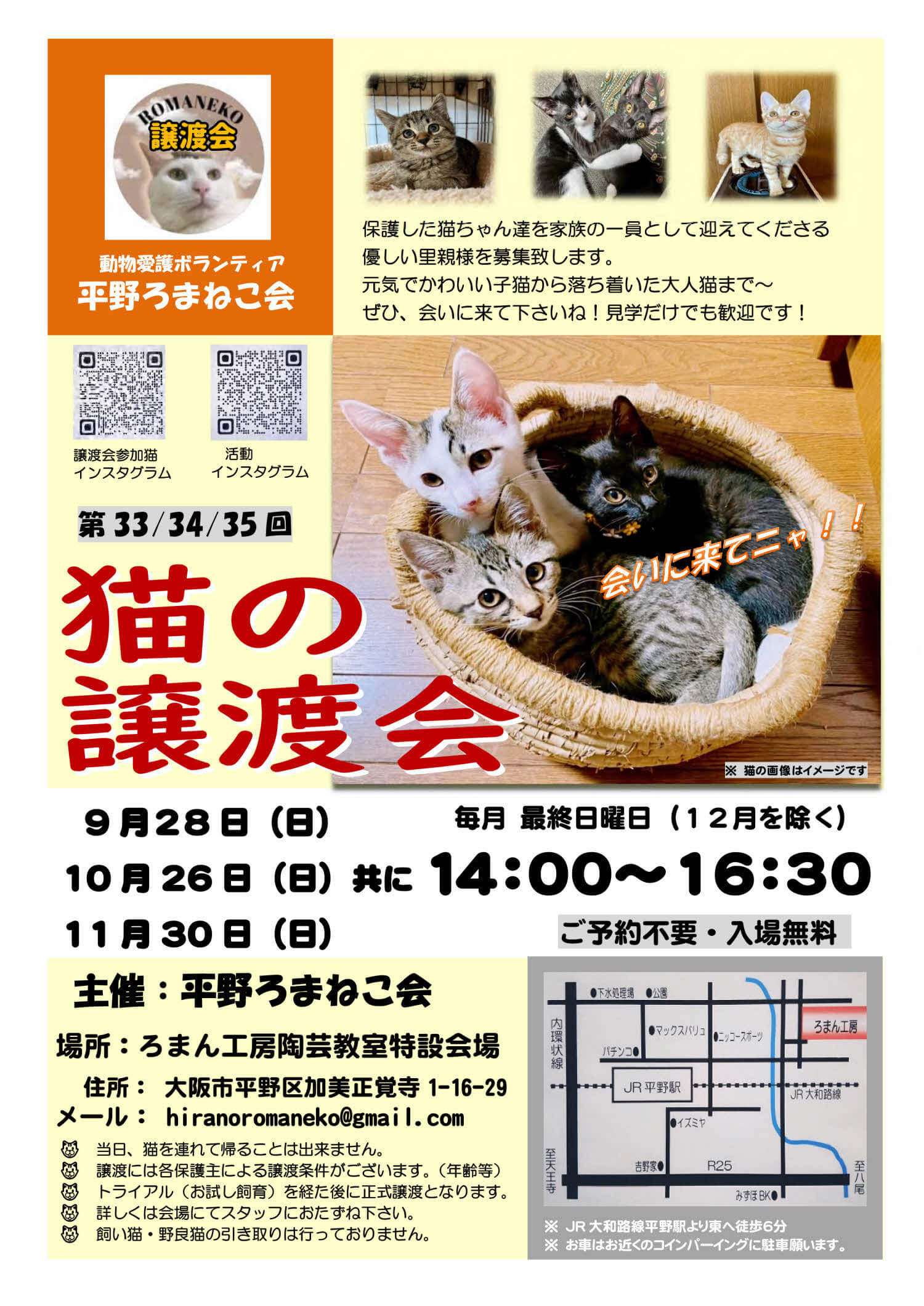 第33回平野ろまねこ譲渡会