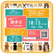 ネコトクラッセ譲渡会