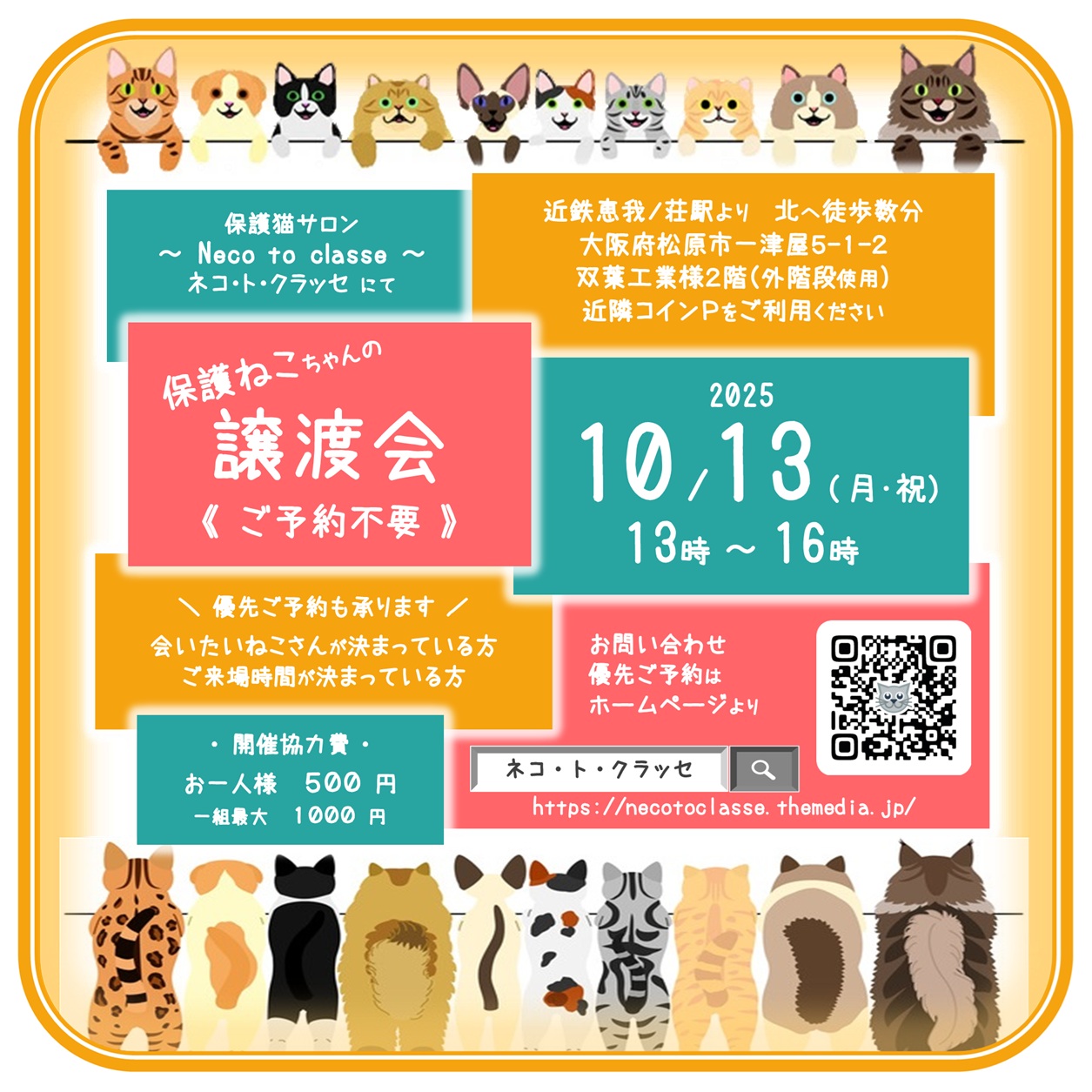 ネコトクラッセ譲渡会