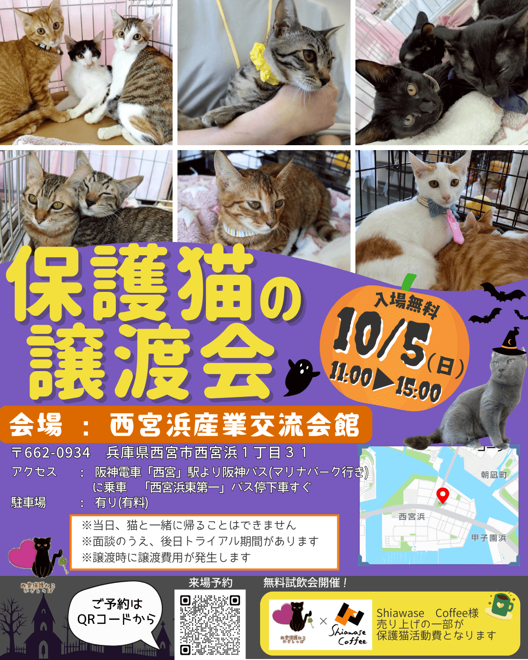 保護猫の譲渡会