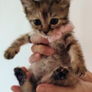 生後1カ月♡誰とでもすぐに仲良し