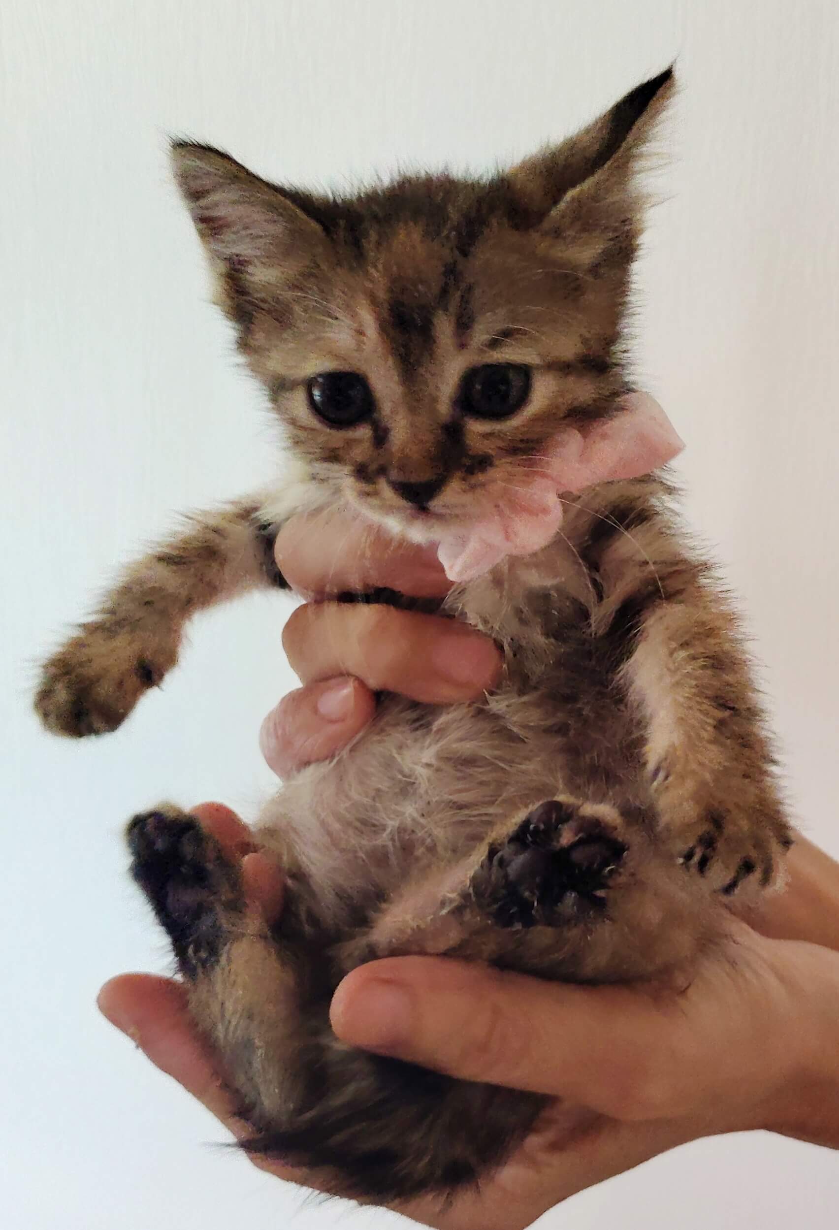 生後1カ月♡誰とでもすぐに仲良し