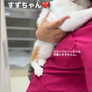 おっとりさんな女の子すずちゃん